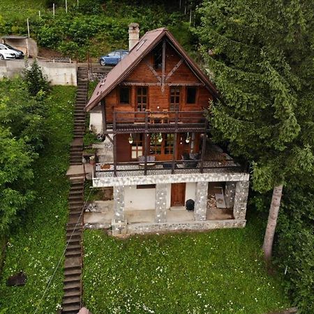 Florile Bucegilor Villa ซินายา ภายนอก รูปภาพ
